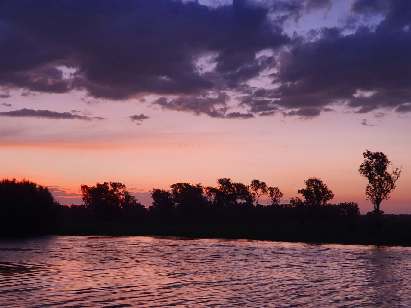 20200930_185524.jpg