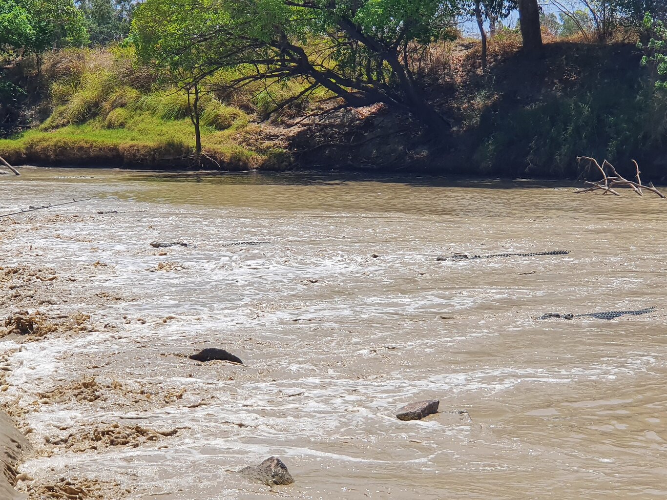 20201001_114312.jpg