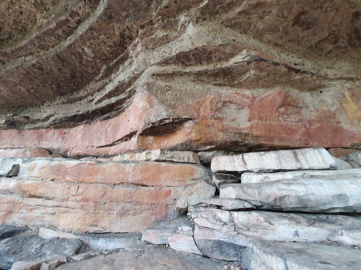 20201001_140521.jpg
