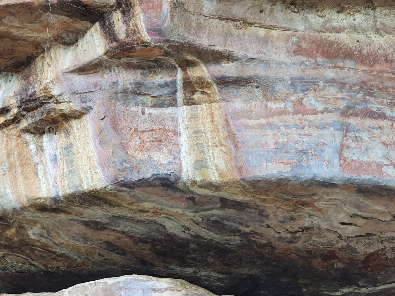 20201001_141049.jpg