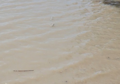 20201003_180912.jpg