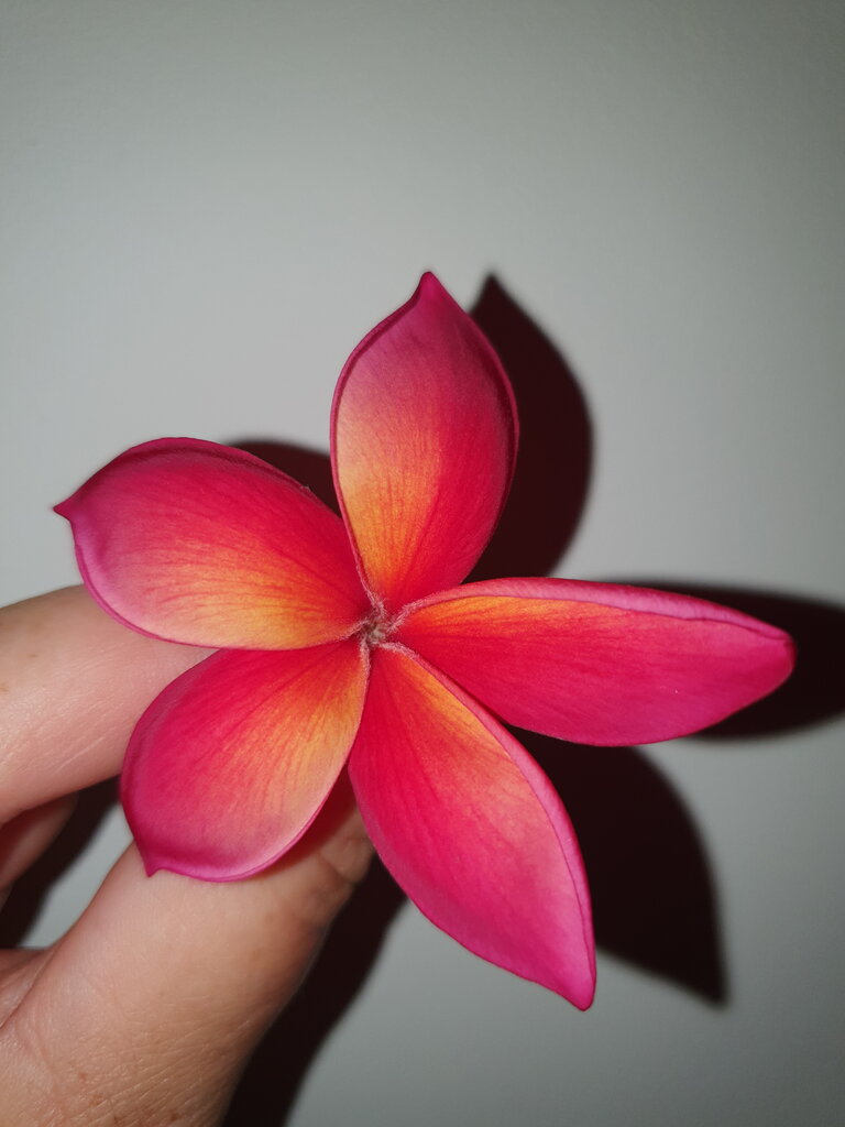 20201011_085507.jpg