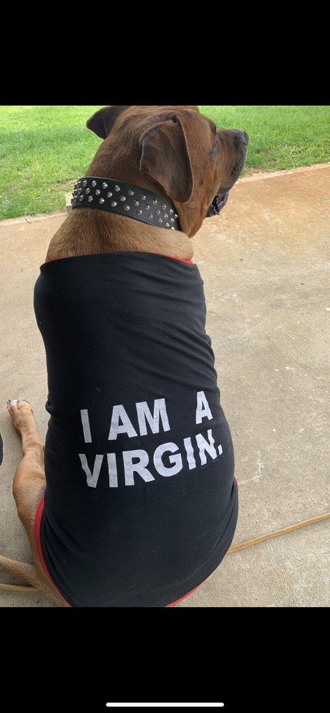 3A32186D-4994-4B31-8C05-AE07BED8BD81.png