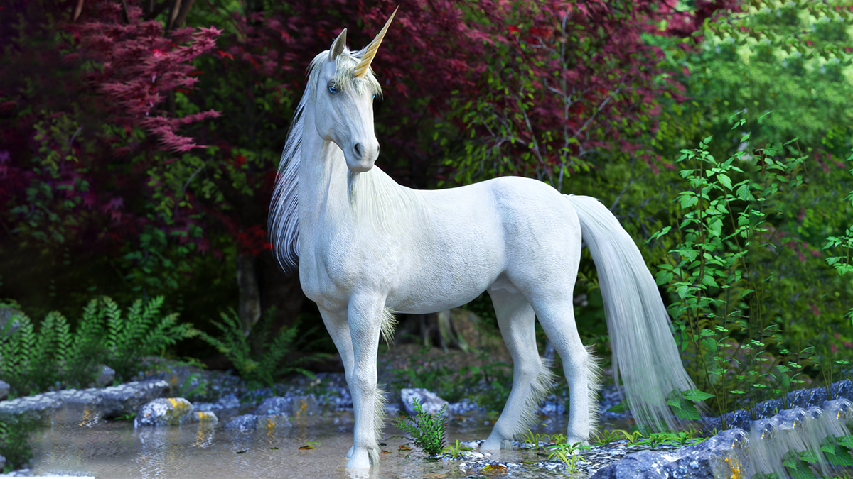 4772324-unicorn.jpg