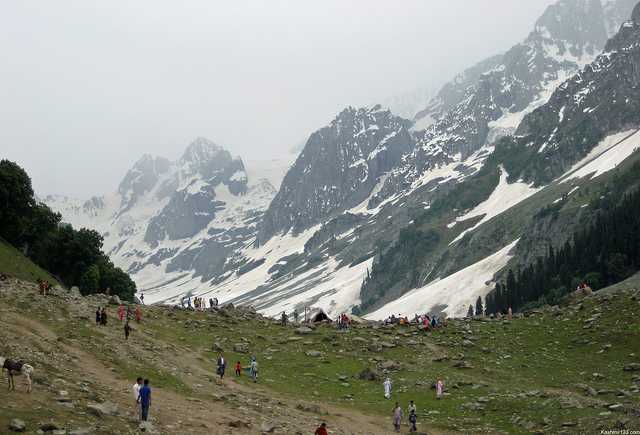 636.jpg