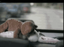 6ED2D872-AC6A-44AE-92B5-F38A841D790F.gif