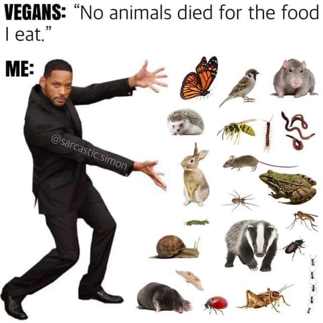 vegan memes