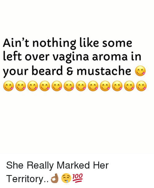 78F6A543-44F3-45F1-9B7D-F6871816EB02.png
