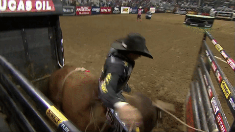 7FAF48D2-3778-429A-A7C6-A9B98B968CE1.gif