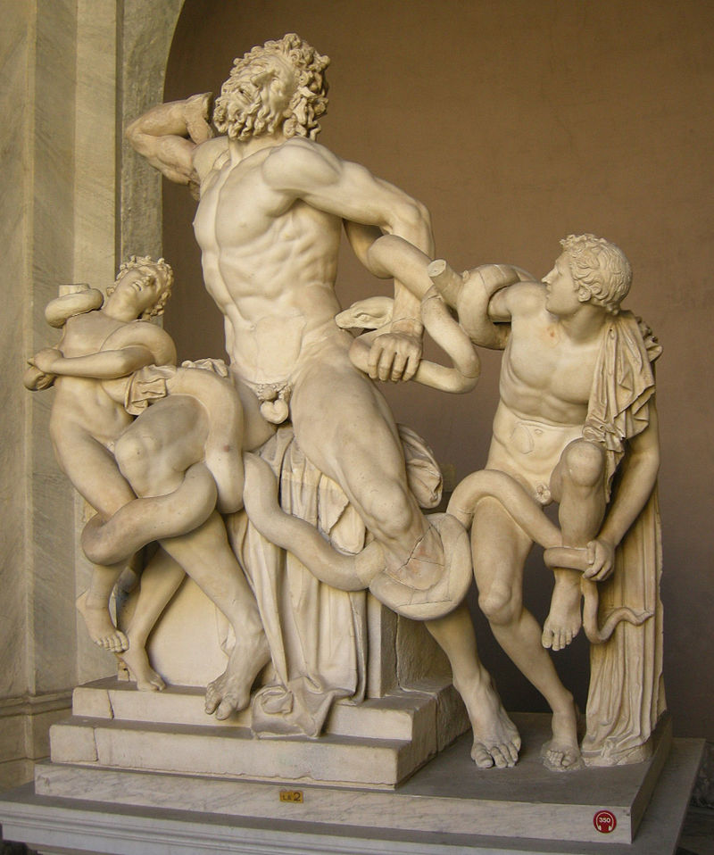 800px-Gruppo_del_laocoonte,_05.JPG