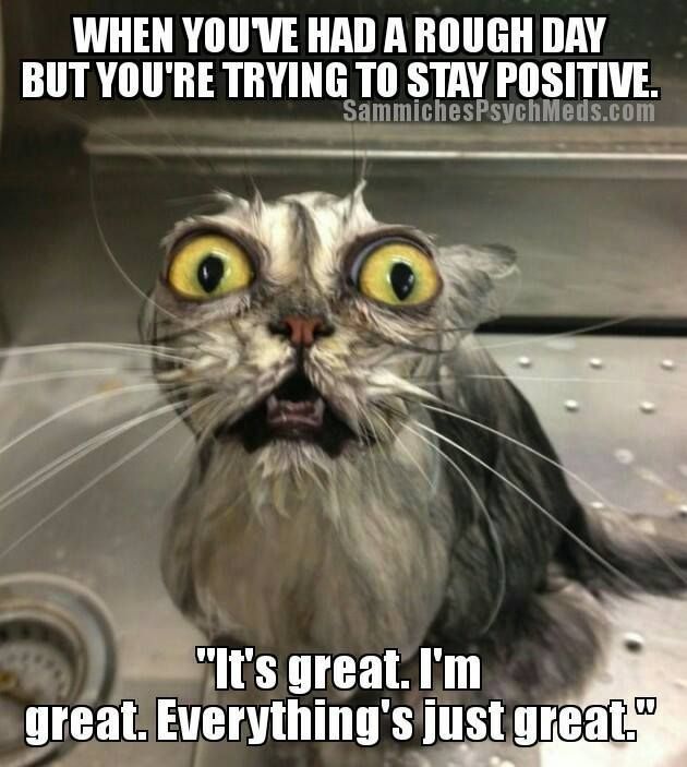 83e90fe157c71cfe86dfafc576d-memes-mom-work-memes-humor.jpg
