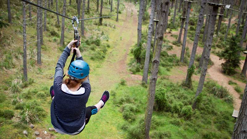 844_image1_Tree-Adventures-web2.jpg