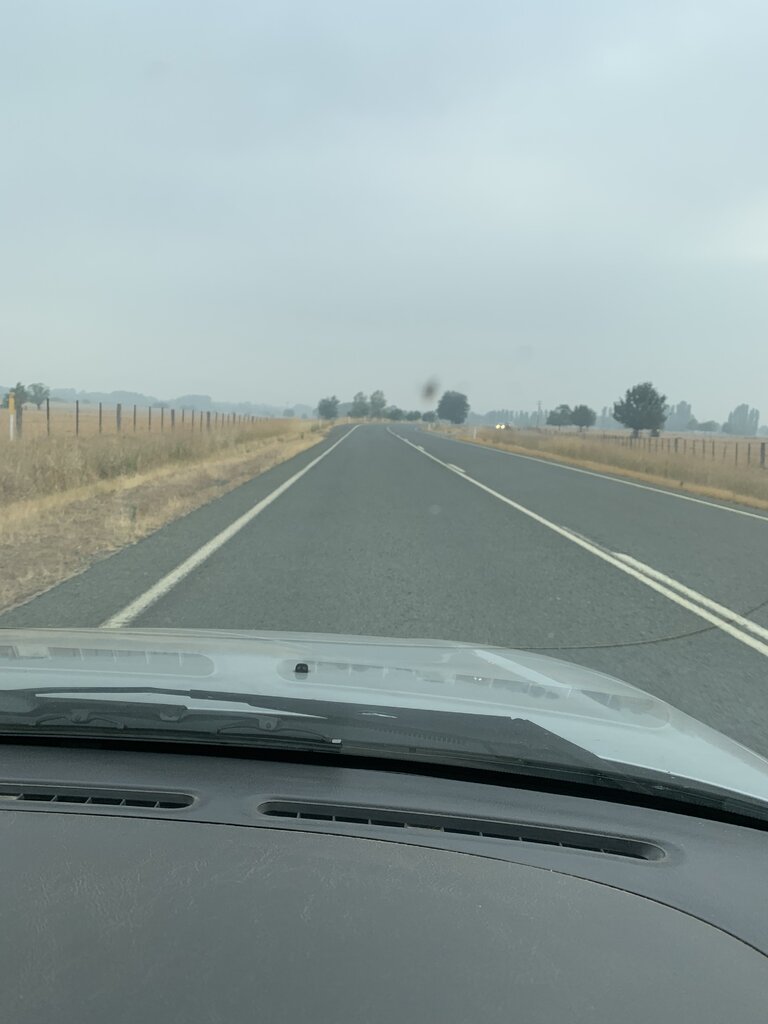 8505D812-0E82-469E-A0D5-99A172D96EDA.jpeg