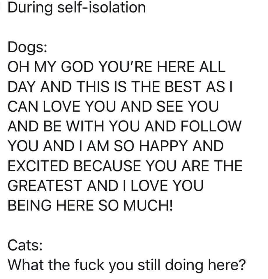 89994419_1990912757720070_8505236312209489920_n.jpg