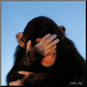 ___ laugh and i like to see people laugh a joy to me_ We need a good laugh.gif