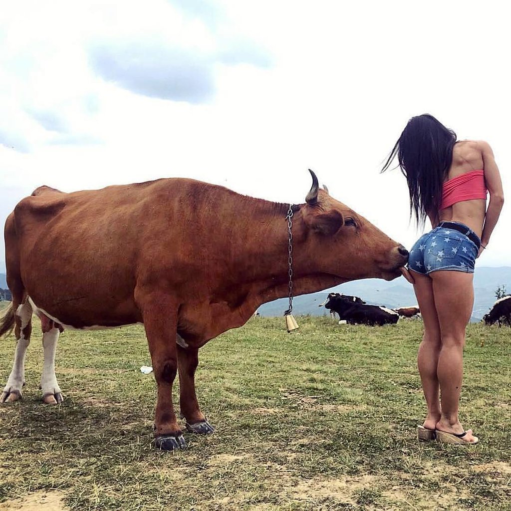 a-cow-licking-a-womans-butt.jpg