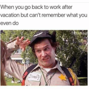 aa.png