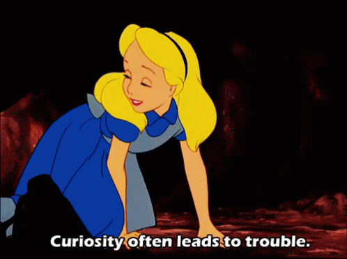 alice-in-wonderland-wonderland.gif