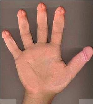hand with penis shaped finger tips