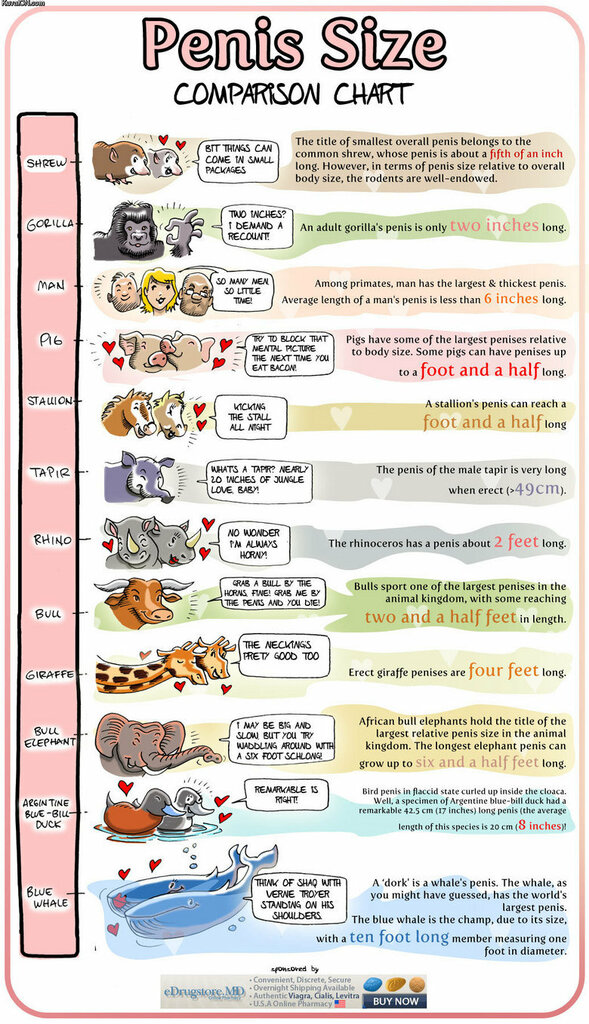 Animal_1ae984_1638725.jpg