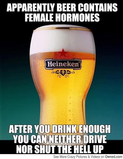 Apparently-Beer-Contains-Famale-Hormones-Funny-Meme-Picture.jpg