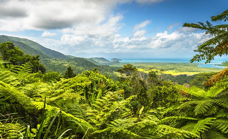 australia-queensland-attractions-daintree-national-park.jpg