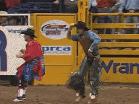 B1F6C01F-44C5-48FA-AD0C-5771B4DD1CBD.gif