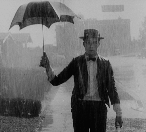 B78F73F3-7402-4A0B-8577-20D5614A07FF.gif