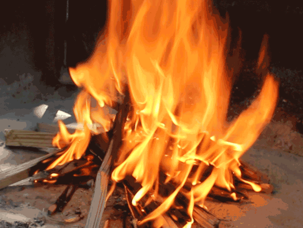 B946813B-3A3A-4188-AEC0-CCF4A1B596DD.gif
