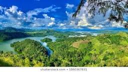 BC8D2371-793C-4B3D-AD6E-650FCBBBB21F.jpeg
