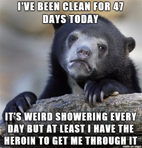 bear.png