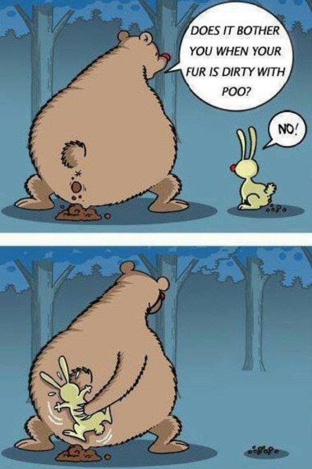 bear1.jpg