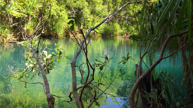 Berry springs darwin.jpg