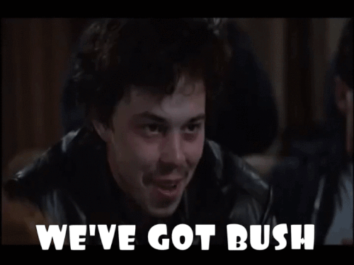 BhaW6G6.gif