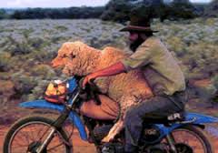bike.jpg