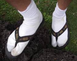 bogans shoes.jpg