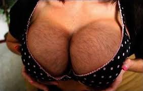 boob.jpg