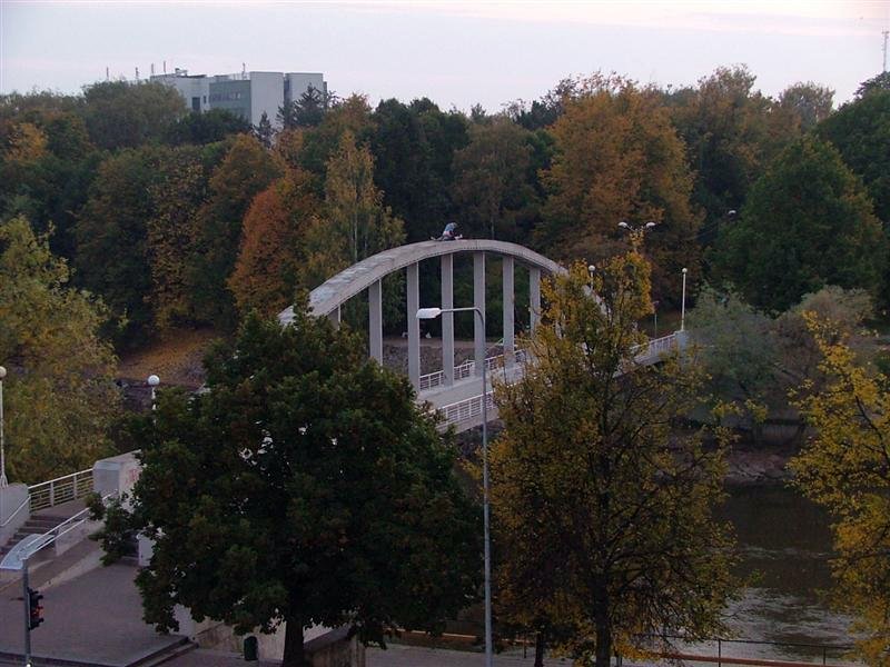 Bridge 1.jpg