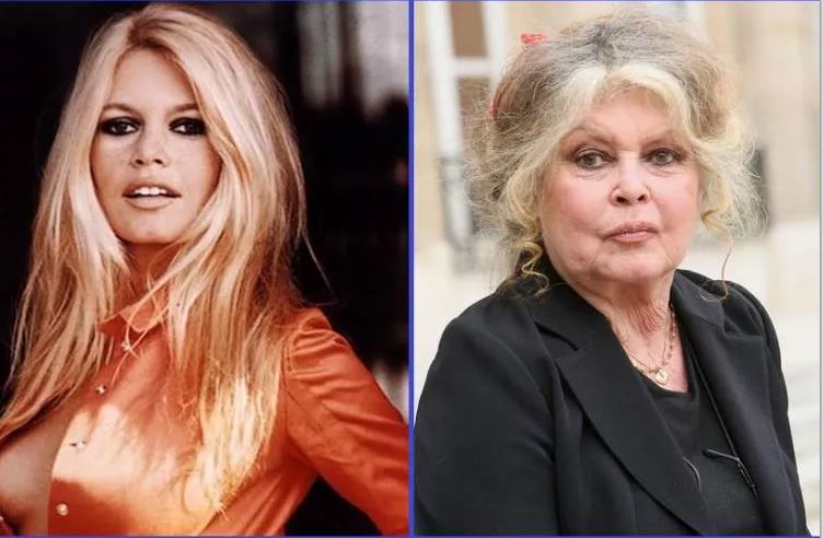 Brigitte Bardot.jpg