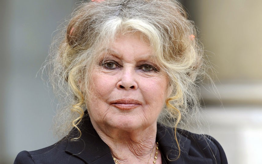 Brigitte-Bardot_2653596k.jpg