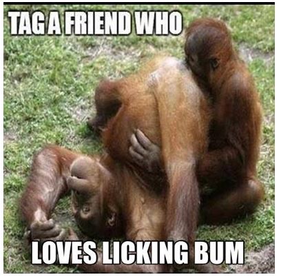 Bum Lick.JPG