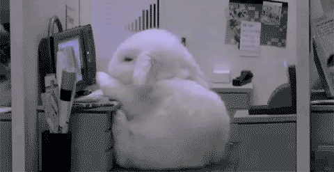 c87d407cf77305e953e1bcae631ce4d0.gif