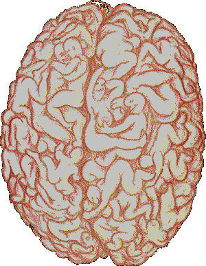 CA789F97-AFDE-4CD0-8BE7-DDDE951055BB.gif
