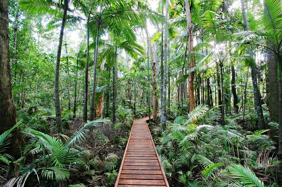 cairns-botanic-gardens.jpg