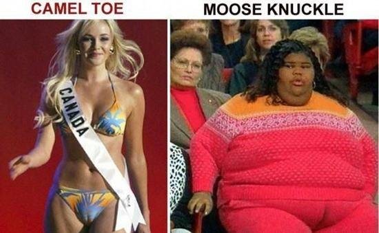 camel+toe.+I+ve+got+it+from+internet+but+I+thought_7876bf_3181923.jpg