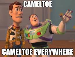 camel1.jpg
