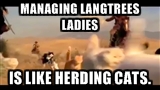 cats.jpg