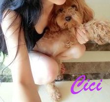 Cici.jpg
