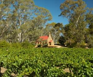 clare wine.jpg