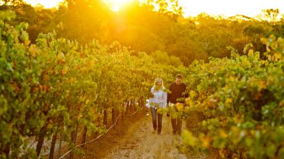 clare wine3.jpg